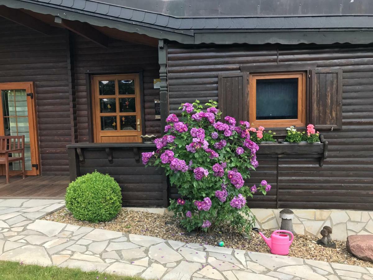 Holzhaus Harz Villa Schielo Exterior foto